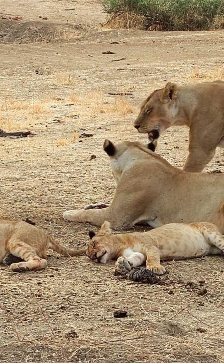 Zájezd CK PIYO tour - Pobyt s jógou pro zdravá záda a animal move s Magdou Linter Kapišinskou, Dvůr Králové nad Labem