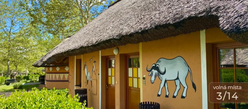 Zájezd CK PIYO tour - Pilates a jóga s výhledem na safari, víkendový pobyt s Andreou Křtínovou v ZOO Dvůr Králové, Dvůr Králové nad Labem